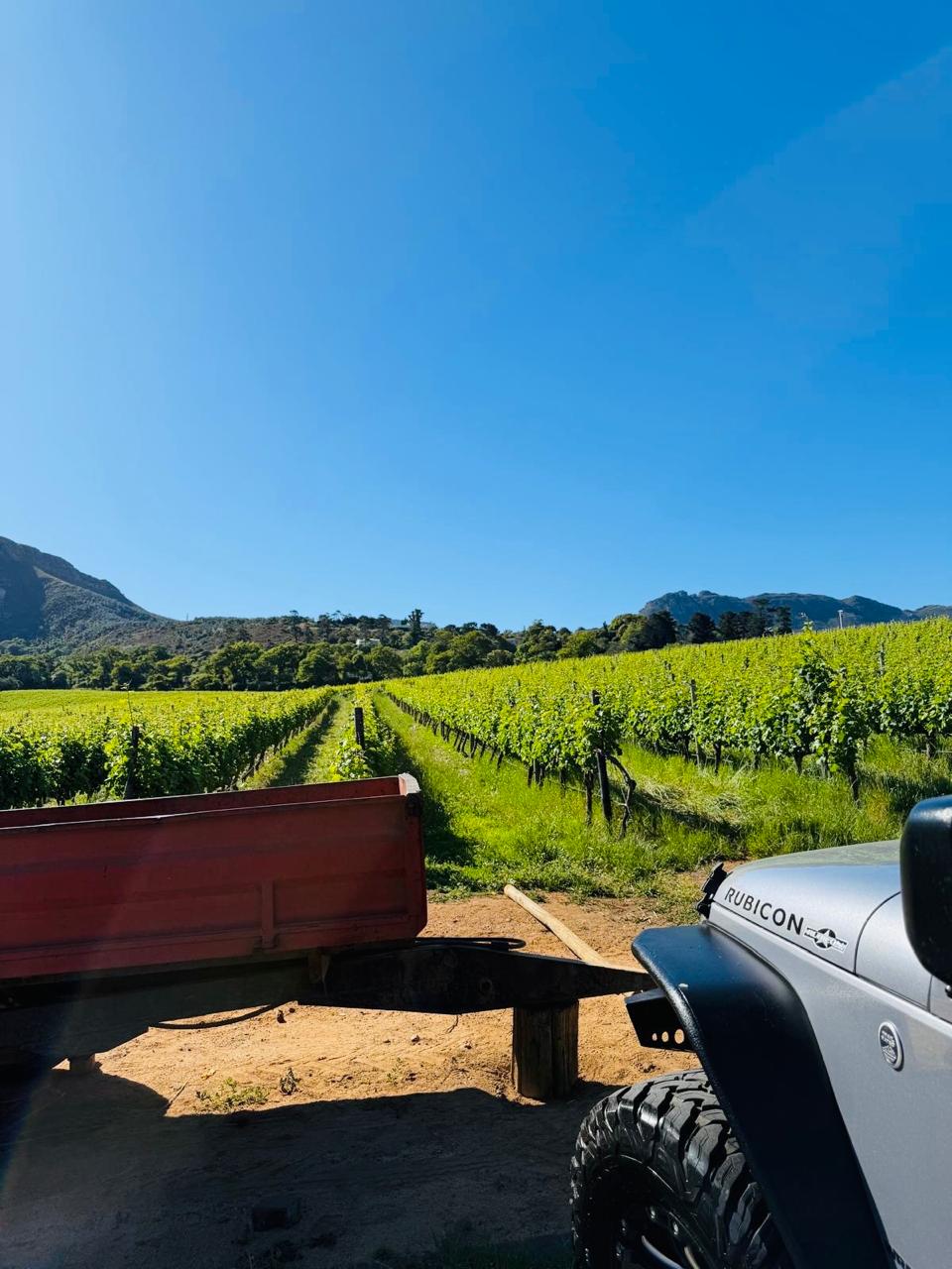 Constantia wine Jeep excursion